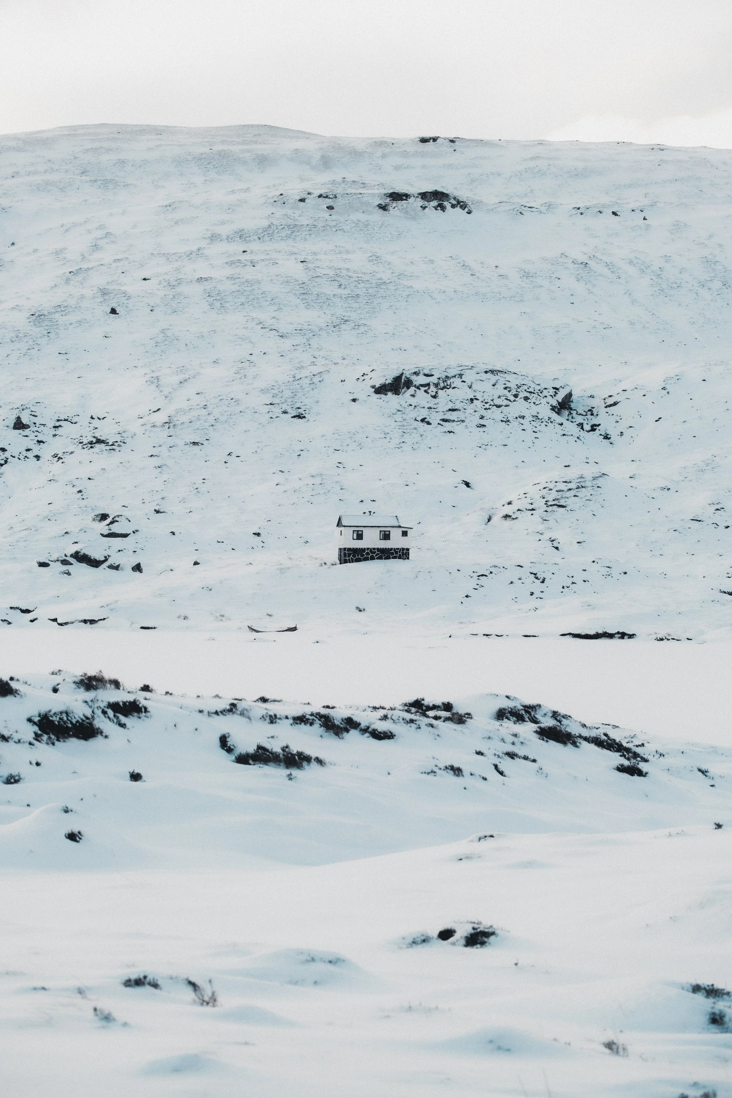 DSCF0913.jpg