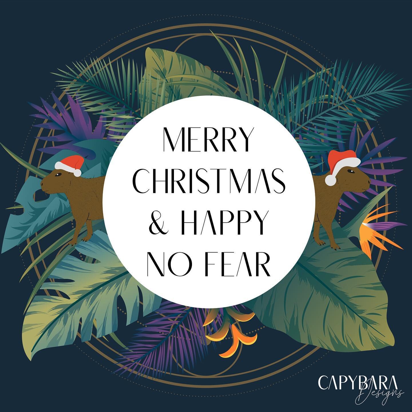 Merry Christmas Everyone!!! And don&rsquo;t worry the Universe has got your back! You will not be sent anything in 2021 that you can&rsquo;t handle! So enter it with no fear!! Be a Capybara!!! #capybara #junglevibes #2021 #nofear #theuniversehasyourb
