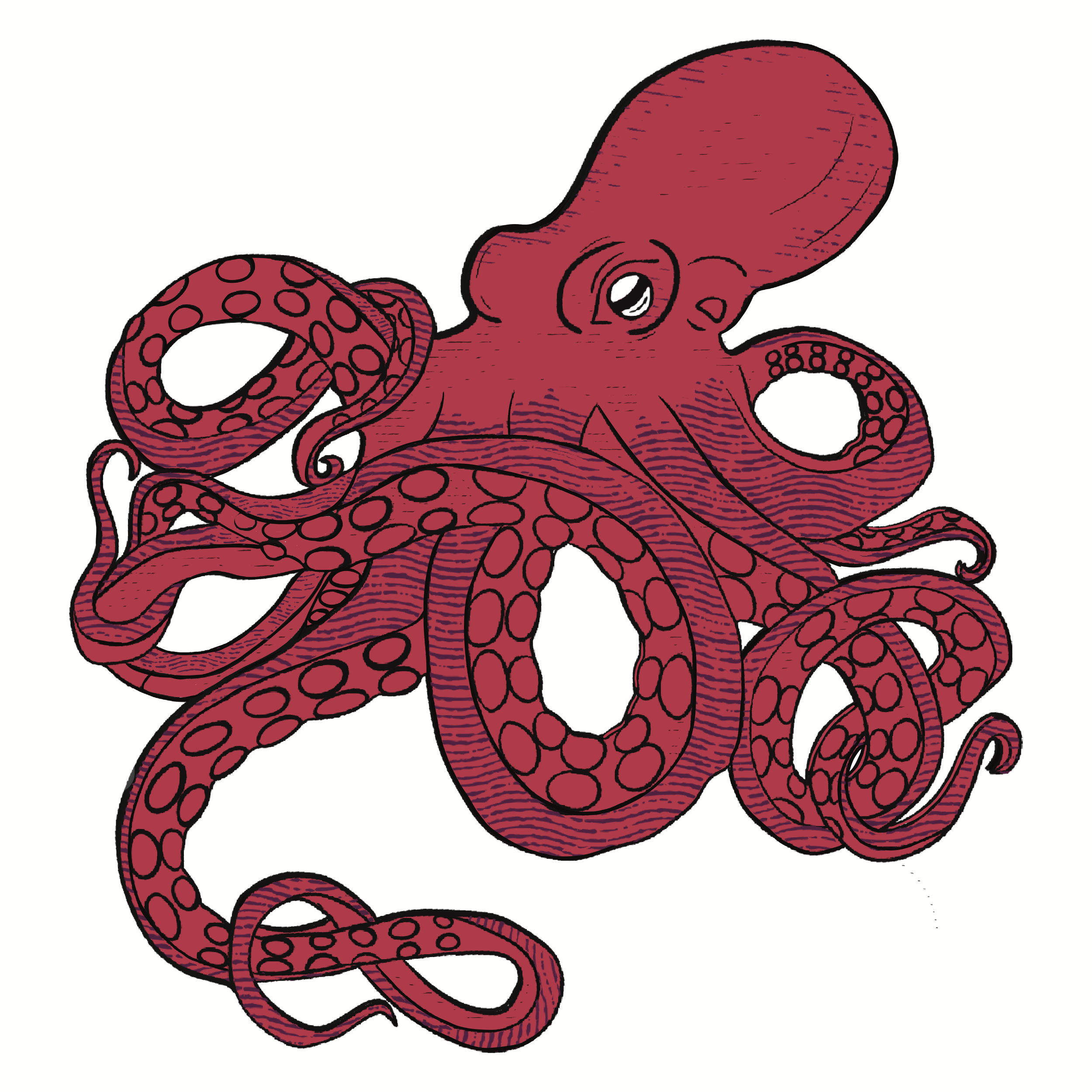 Octopus.png
