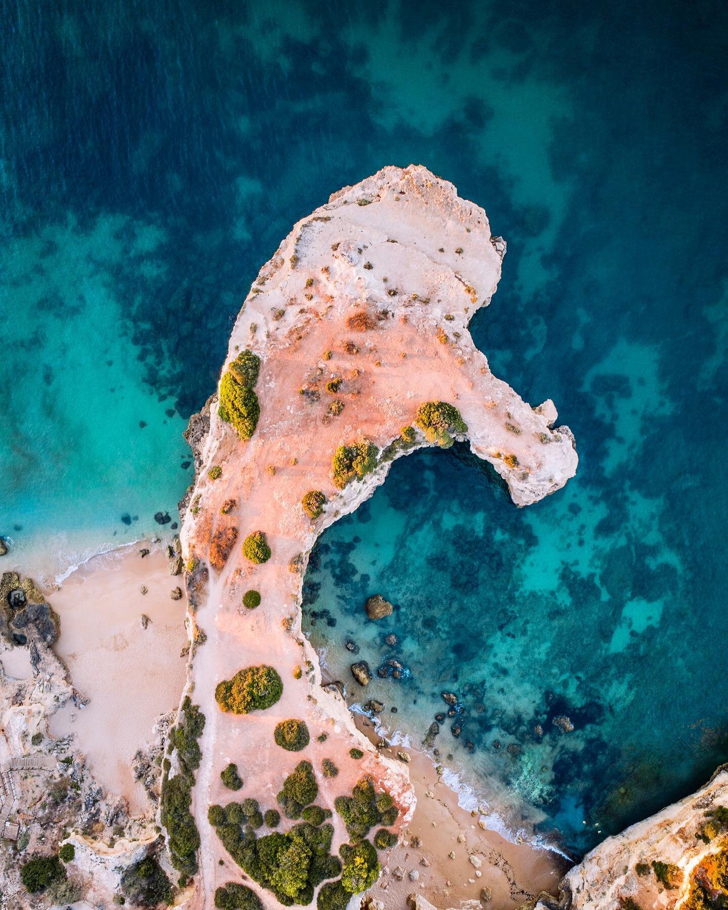 Evening guys. Help me solve a little debate here please.

@hitchhiking2nepal thinks this looks like a clapping fish. I think it has seahorse vibes. Which side are you on?
&mdash;
Faye x
⠀⠀⠀⠀⠀⠀⠀⠀⠀⠀⠀⠀
⠀⠀⠀⠀⠀⠀⠀⠀⠀⠀⠀⠀
⠀⠀⠀⠀⠀⠀⠀⠀⠀⠀⠀⠀
⠀⠀⠀⠀⠀⠀⠀⠀⠀⠀⠀⠀
⠀⠀⠀⠀⠀⠀⠀⠀⠀⠀⠀⠀