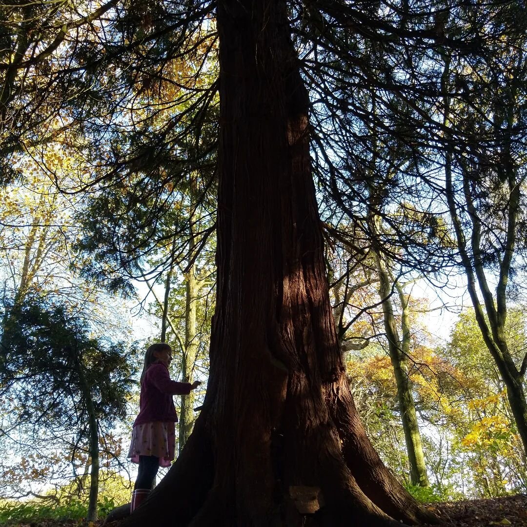 Forest play at the weekend 😊 what a treat