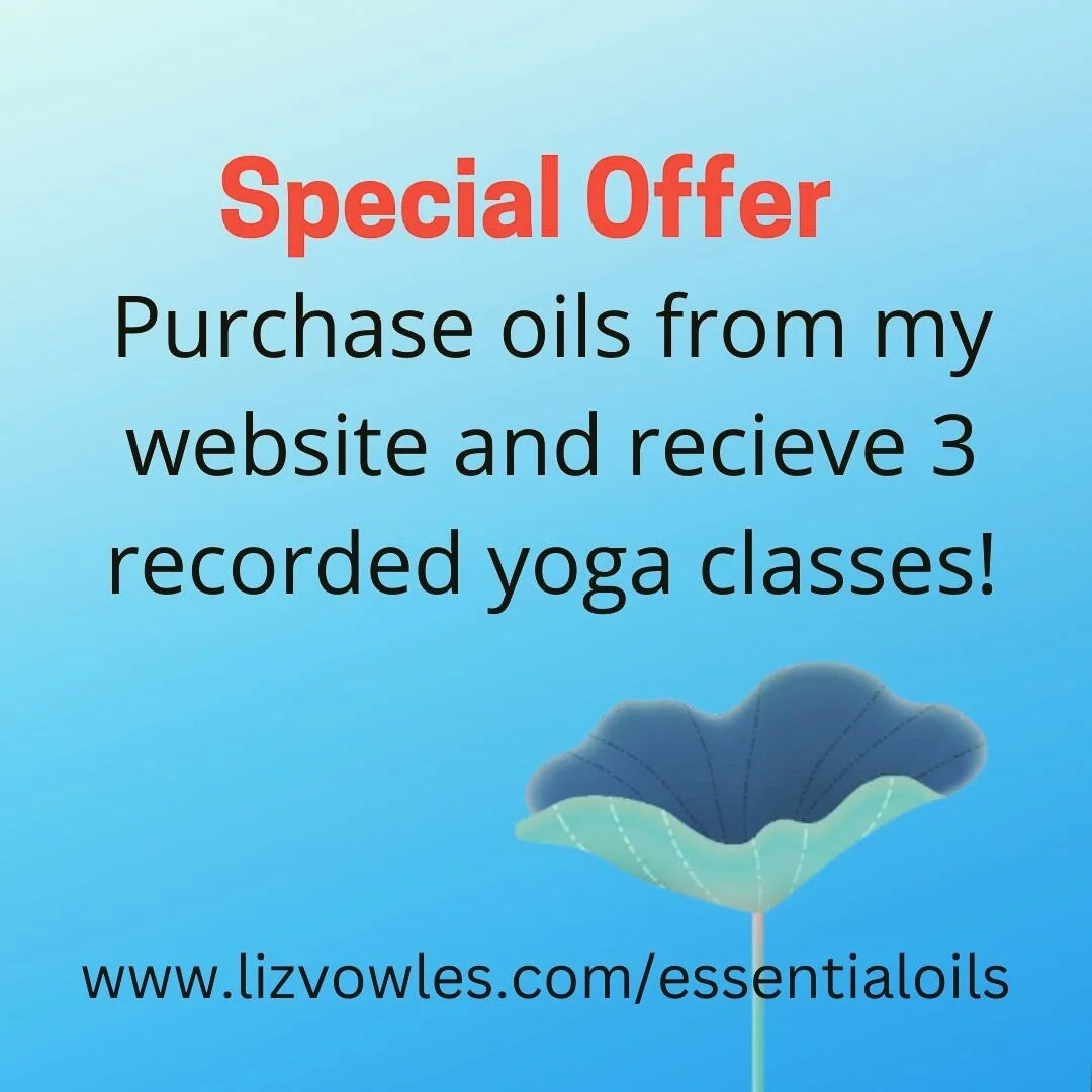 🔥So excited to share THREE FREE recorded YOGA classes with you when you purchase an essential oils kit from my website this month 🔥🤩

www.lizvowles.com/essentialoils

link in bio😍