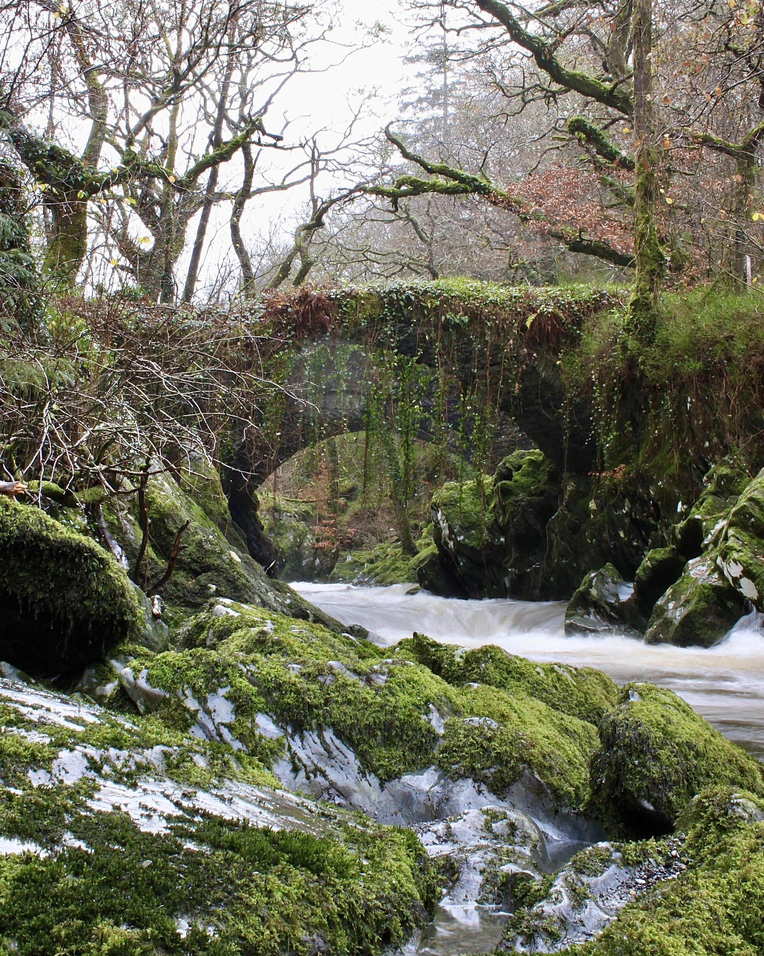 Mountain Bike Hire Wales