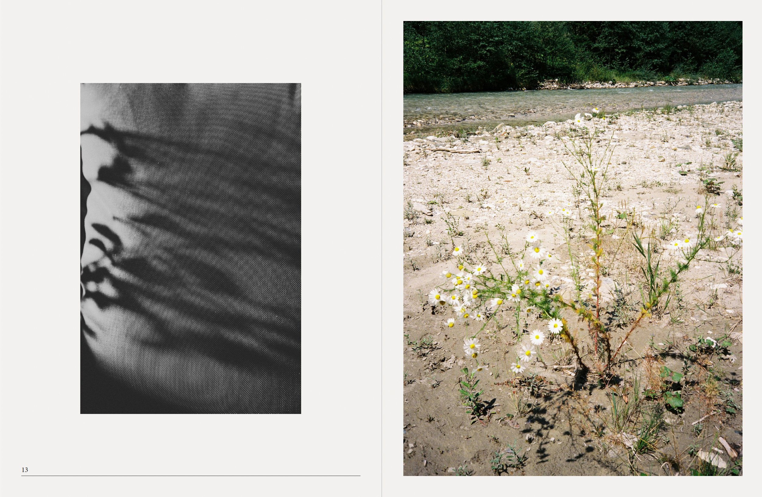 Screenshot 2025-12-15 at 12.34.13.jpg