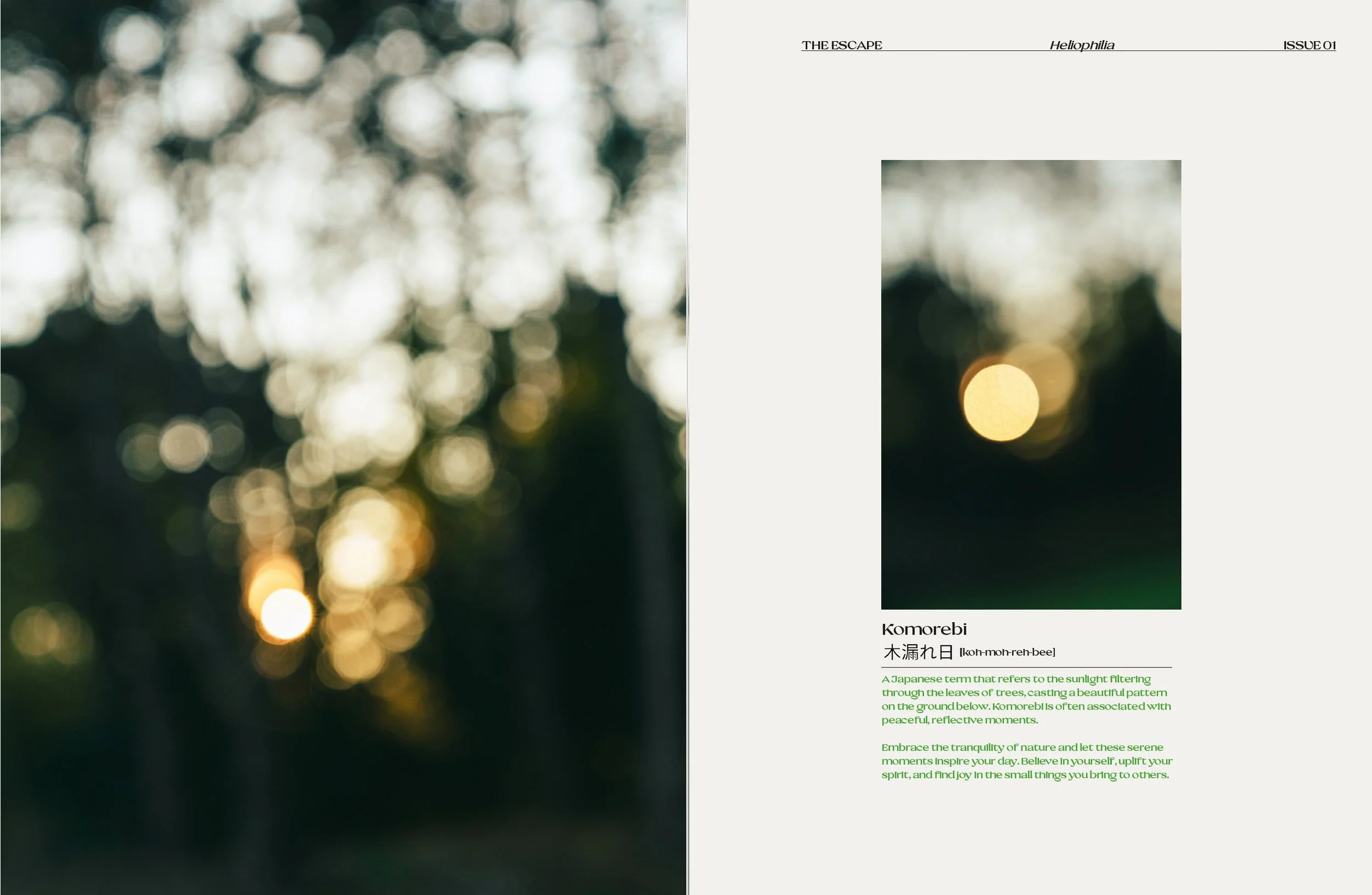 Screenshot 2025-12-15 at 12.33.54.jpg