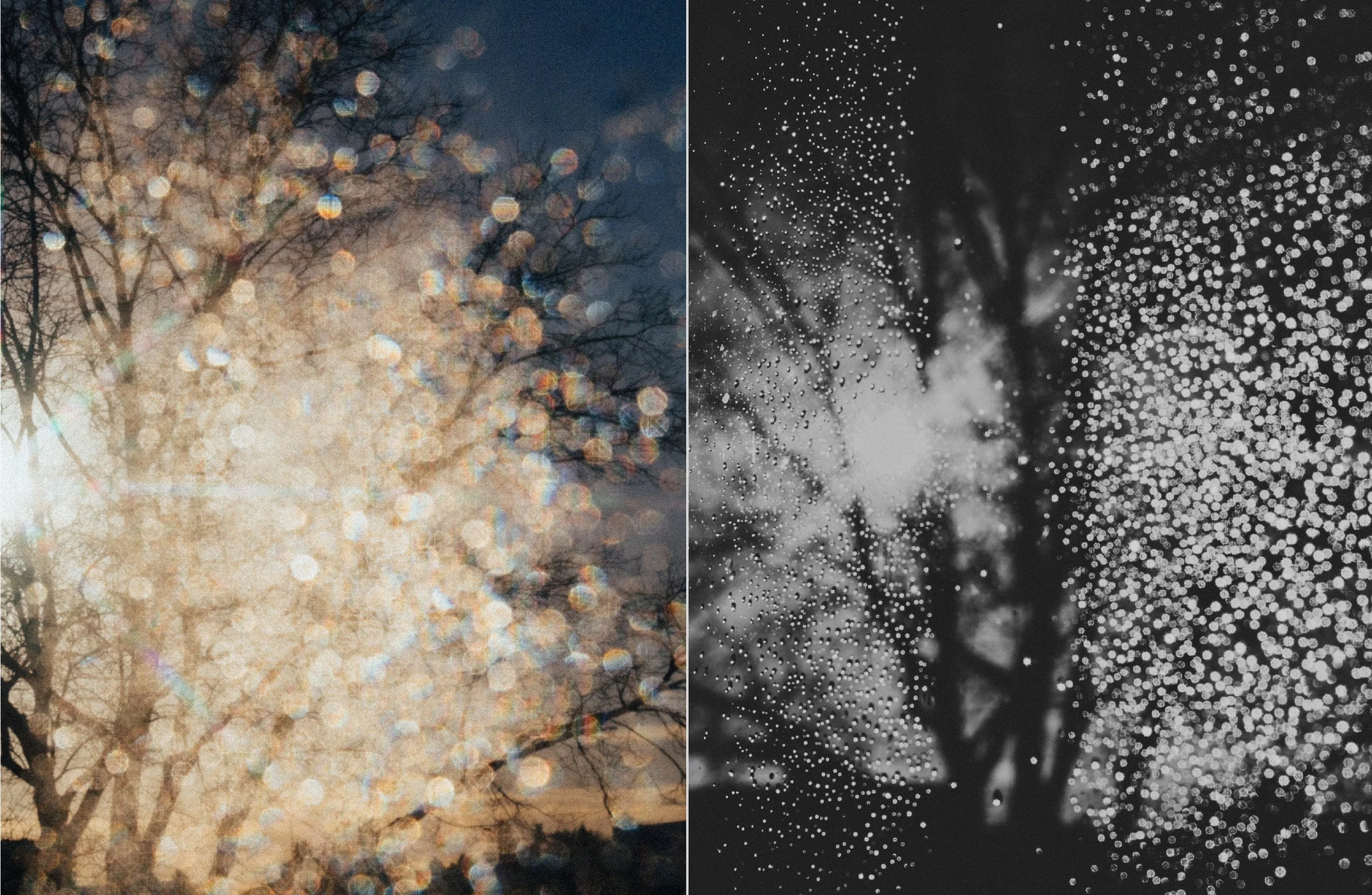 Screenshot 2025-12-15 at 12.34.00.jpg