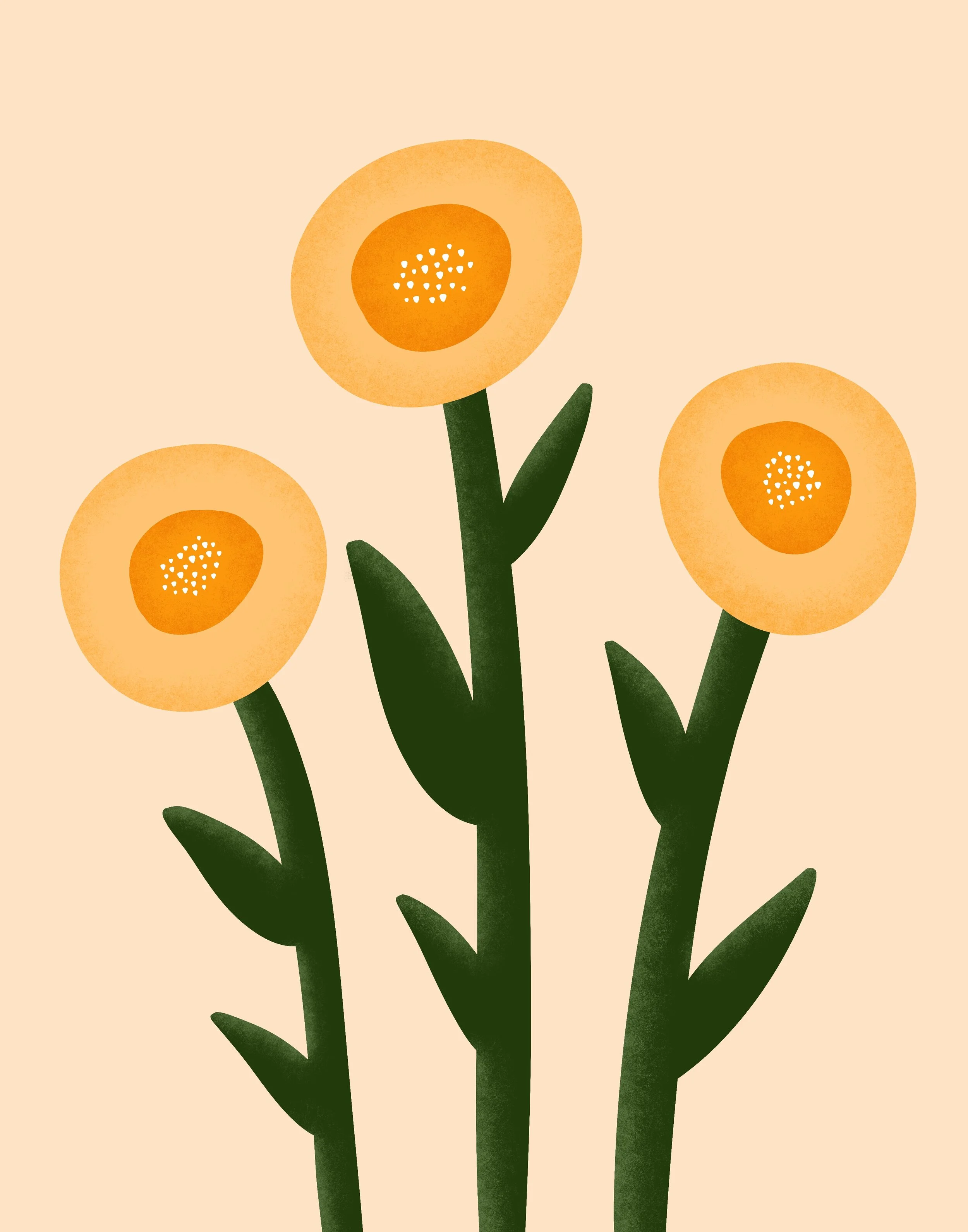 Daffodils_Beige.jpg