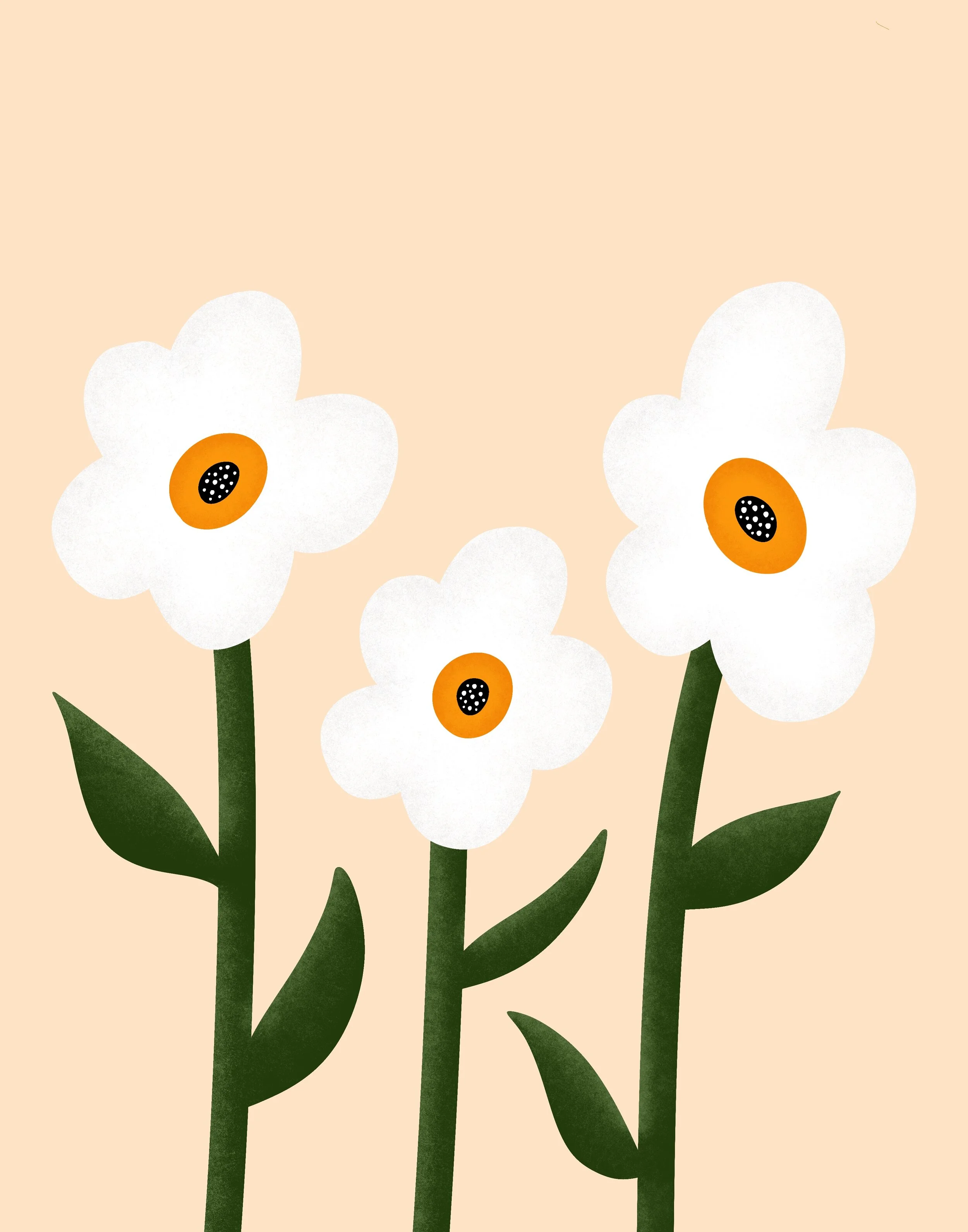 Daisies_Beige.jpg