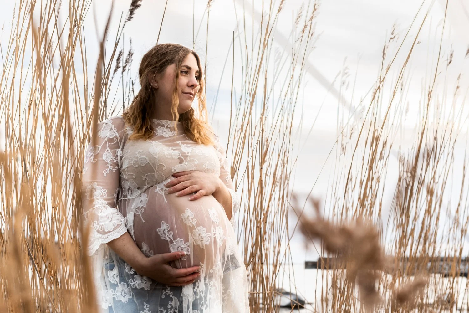 JM_Gravid_Color_85.jpg