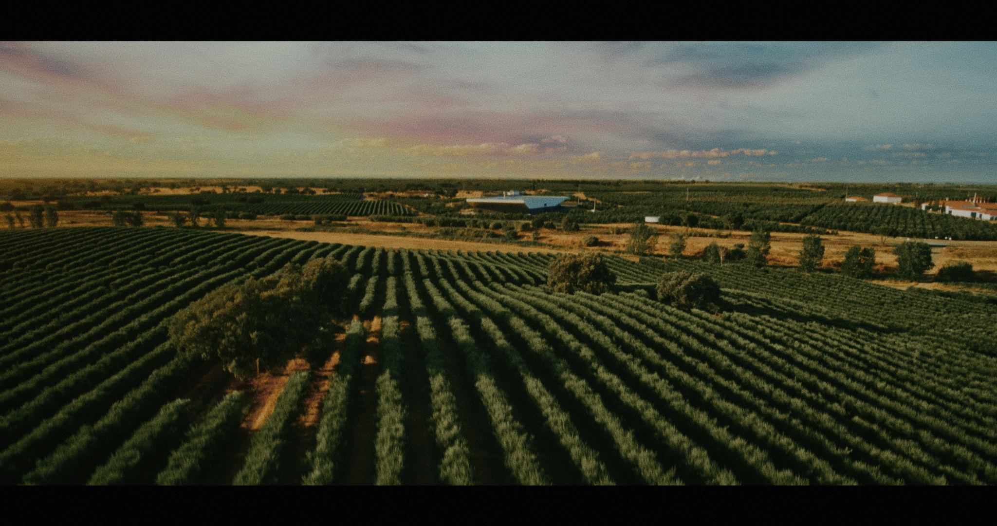 SOVENA_v02 Directors cut.01_00_40_18.Still061.png
