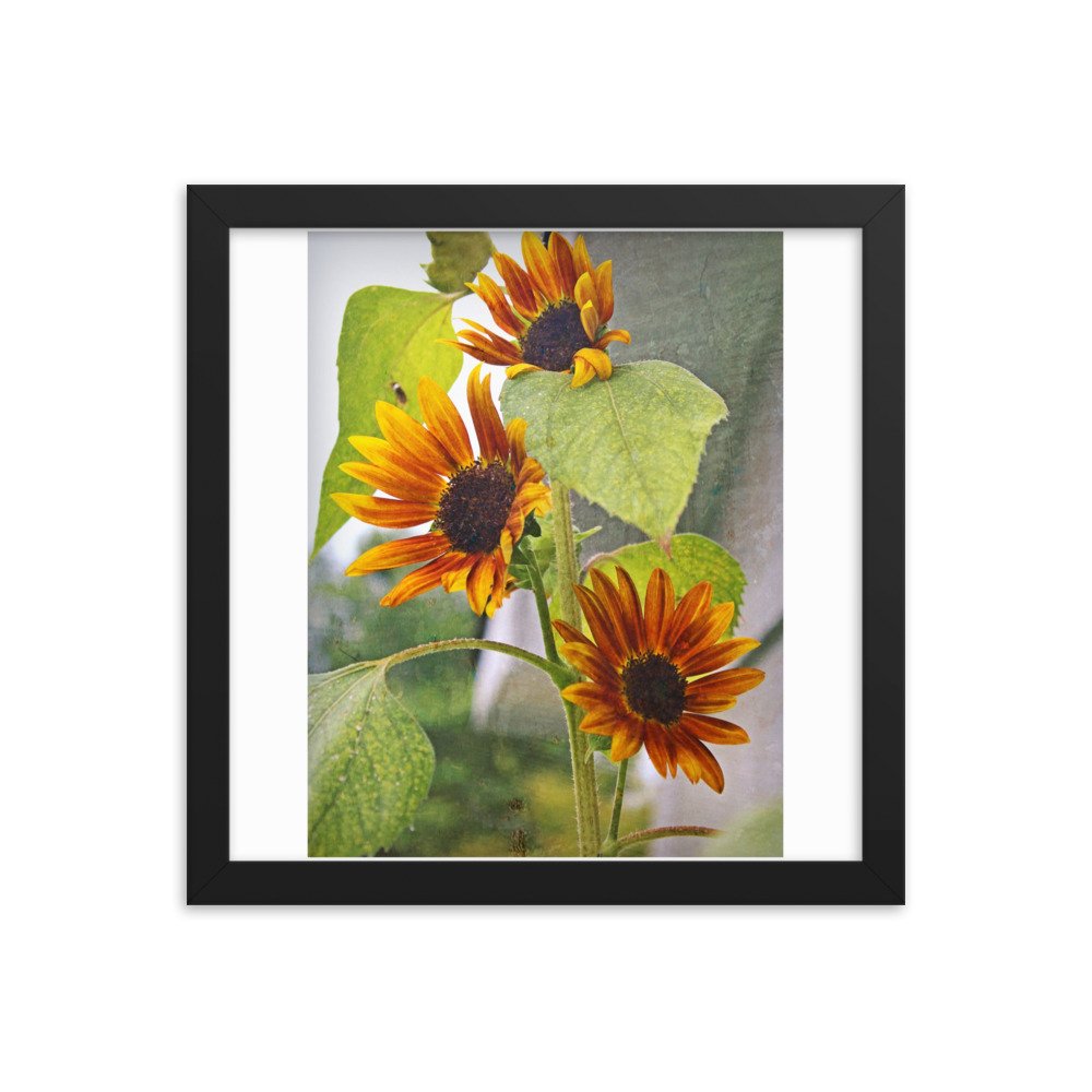 enhanced-matte-paper-framed-poster-(in)-black-12x12-transparent-622caad4d6fd2.jpg