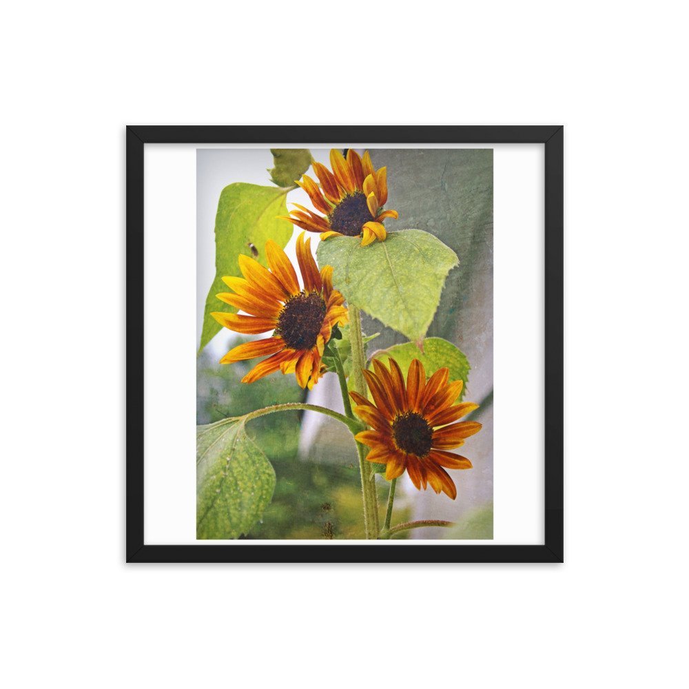 enhanced-matte-paper-framed-poster-(in)-black-18x18-transparent-622caad4d74f8.jpg