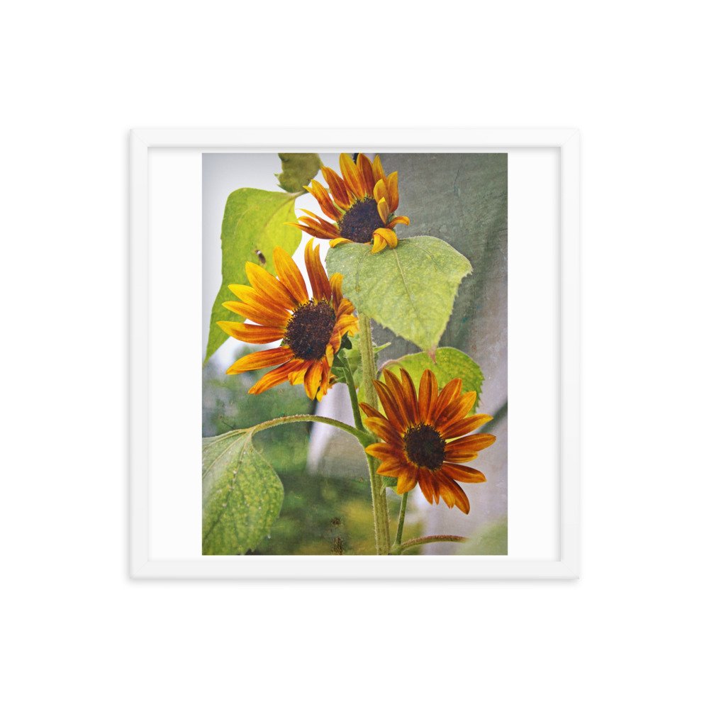 enhanced-matte-paper-framed-poster-(in)-white-18x18-transparent-622caad4d7d2a.jpg