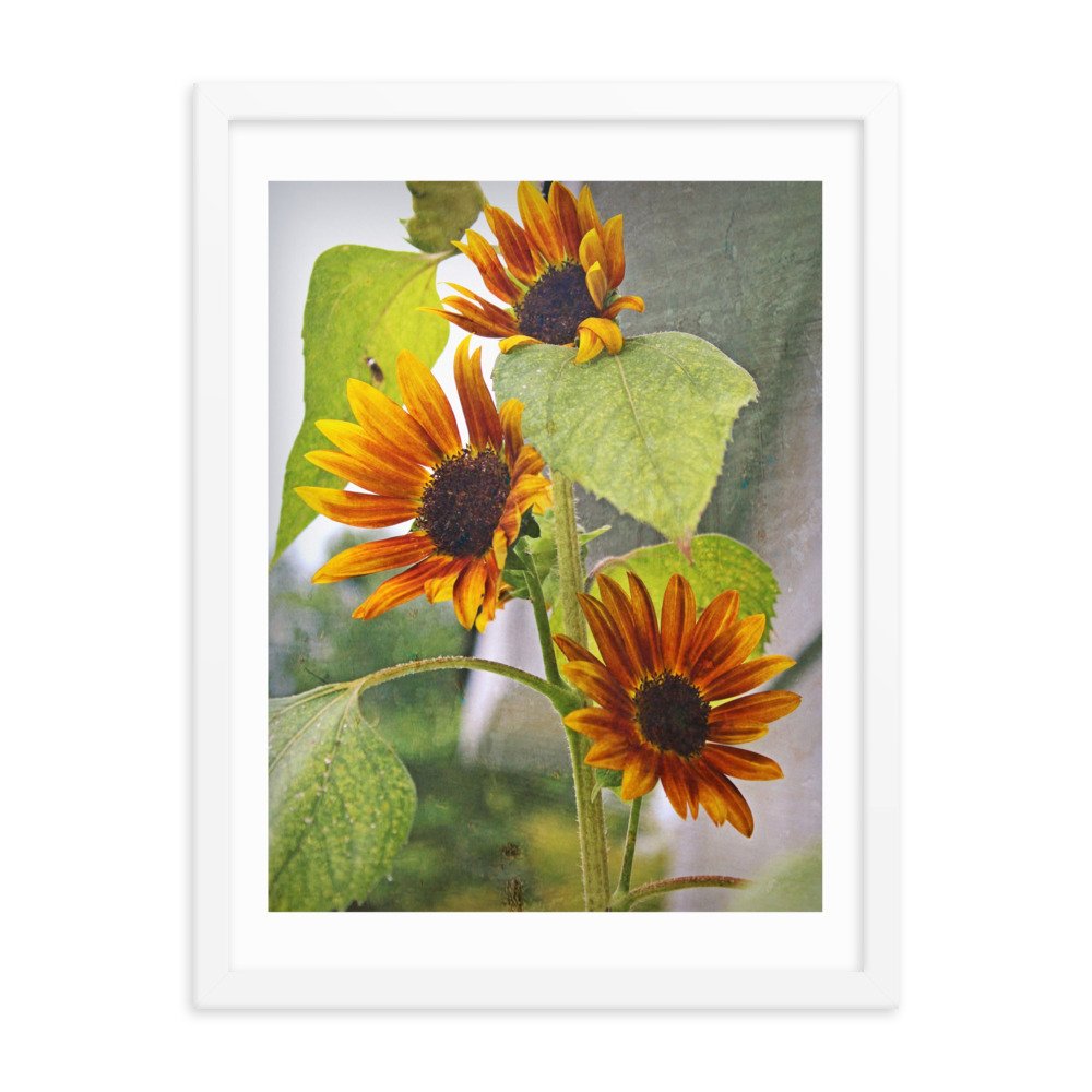 enhanced-matte-paper-framed-poster-(in)-white-18x24-transparent-622caad4d7e06.jpg