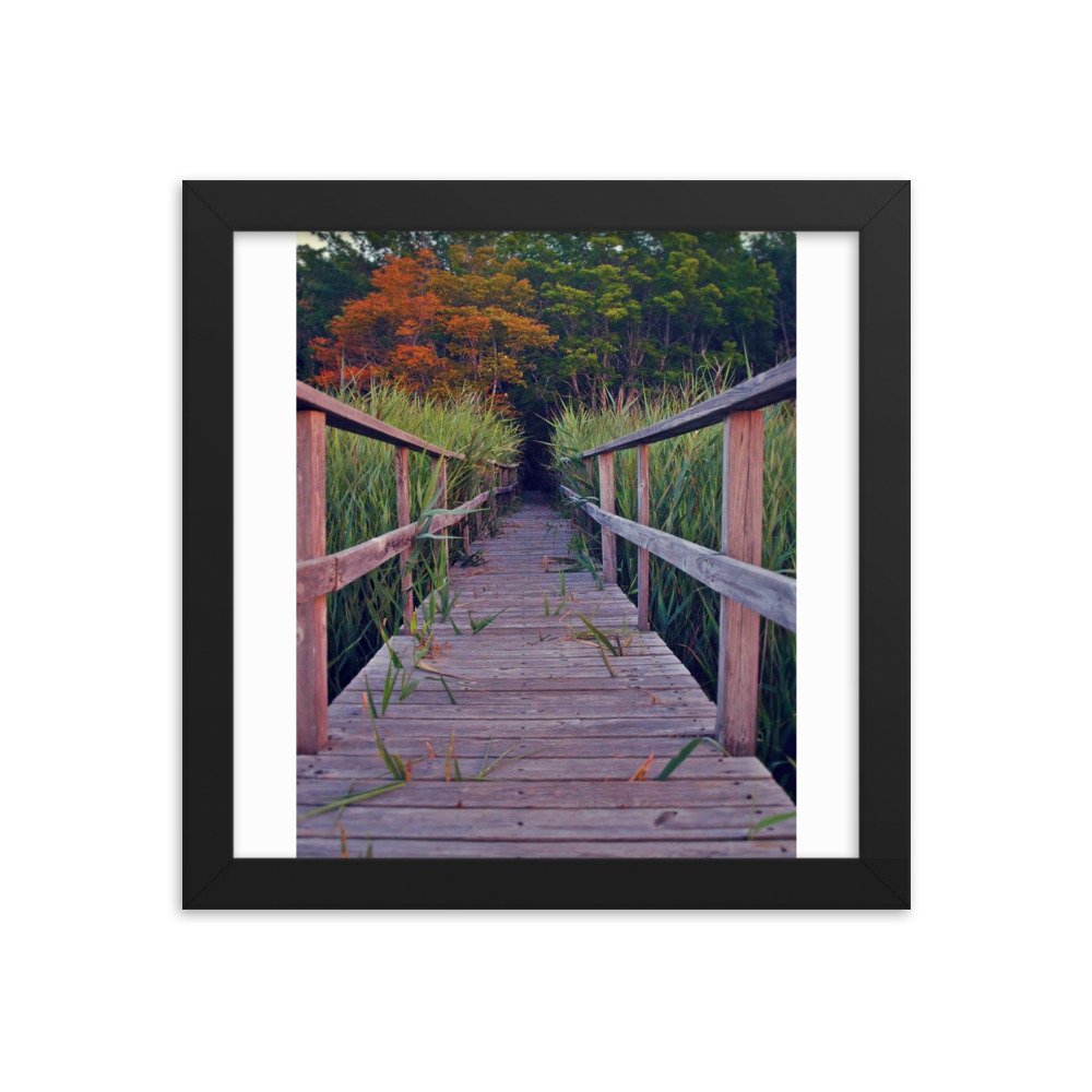 enhanced-matte-paper-framed-poster-(in)-black-10x10-transparent-622caae2a86b2.jpg