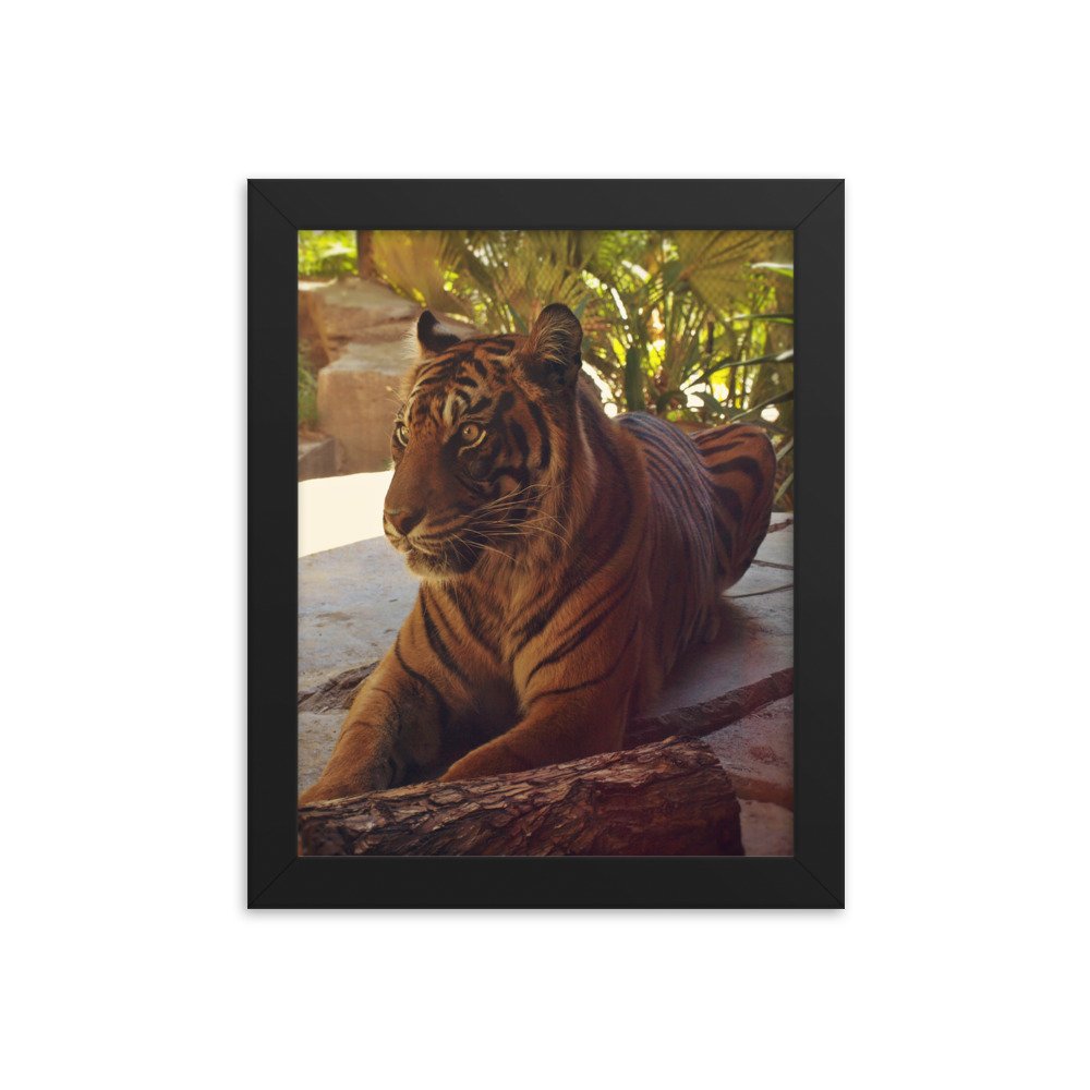 enhanced-matte-paper-framed-poster-(in)-black-8x10-transparent-622cab5de7178.jpg
