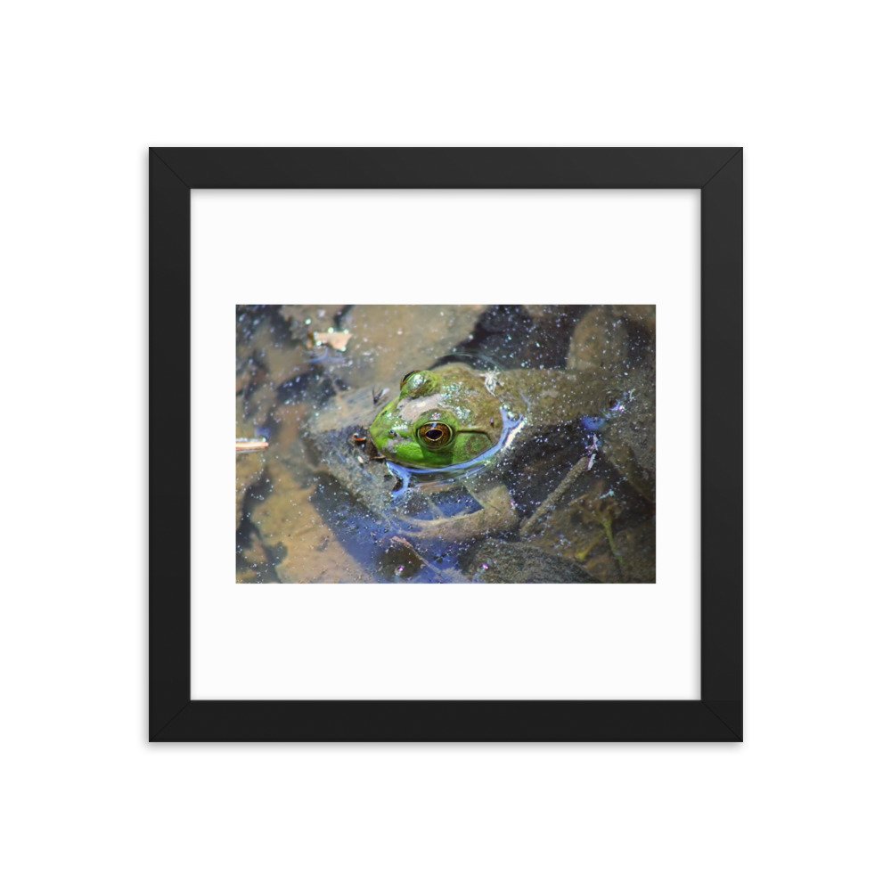 enhanced-matte-paper-framed-poster-(in)-black-10x10-transparent-622cad2e38a62.jpg