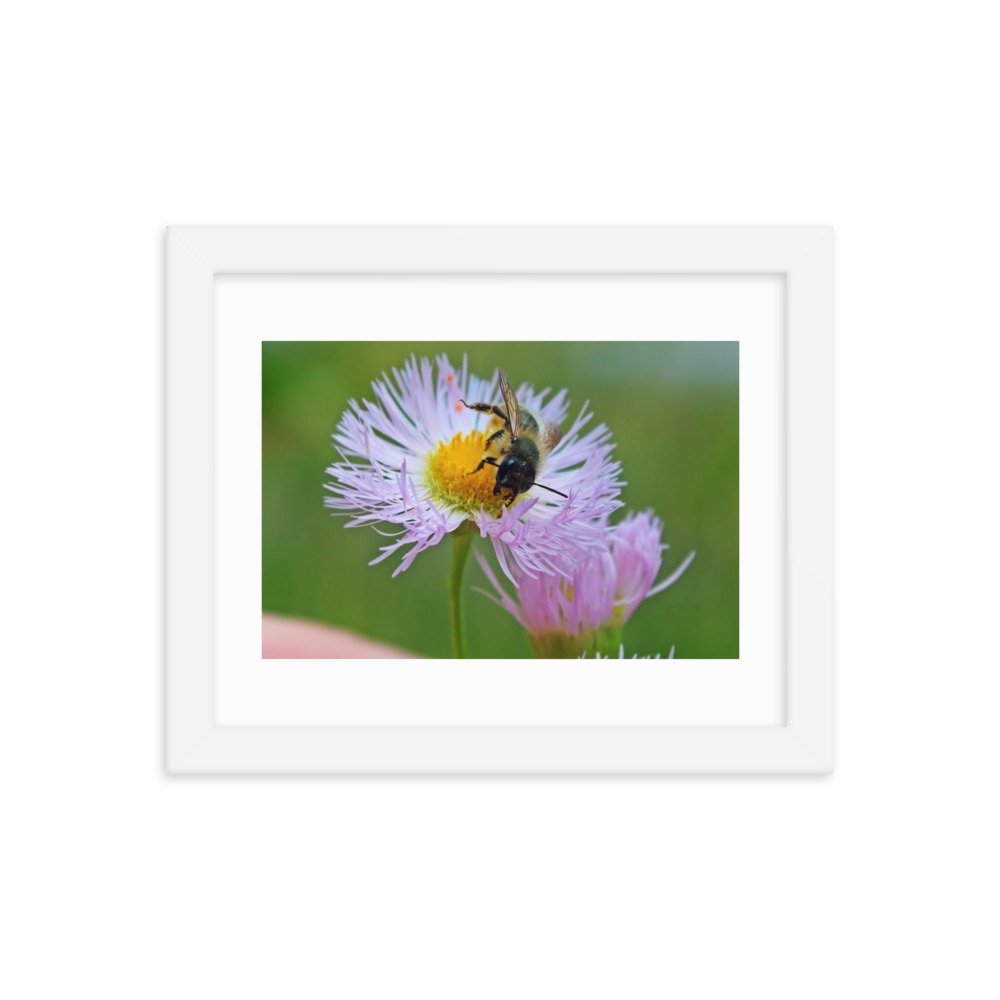 enhanced-matte-paper-framed-poster-(in)-white-8x10-transparent-622cad2fc36b5.jpg