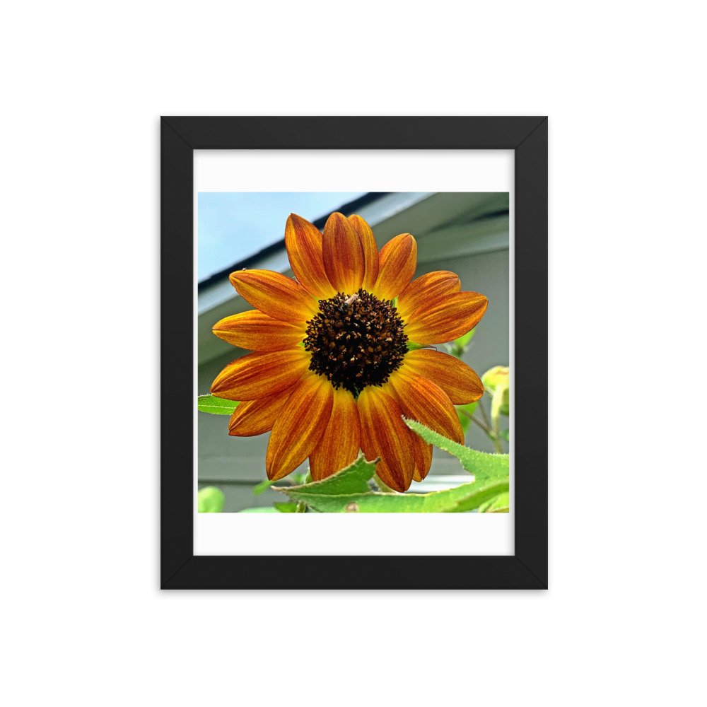 enhanced-matte-paper-framed-poster-(in)-black-8x10-transparent-622cad6dcbc49.jpg