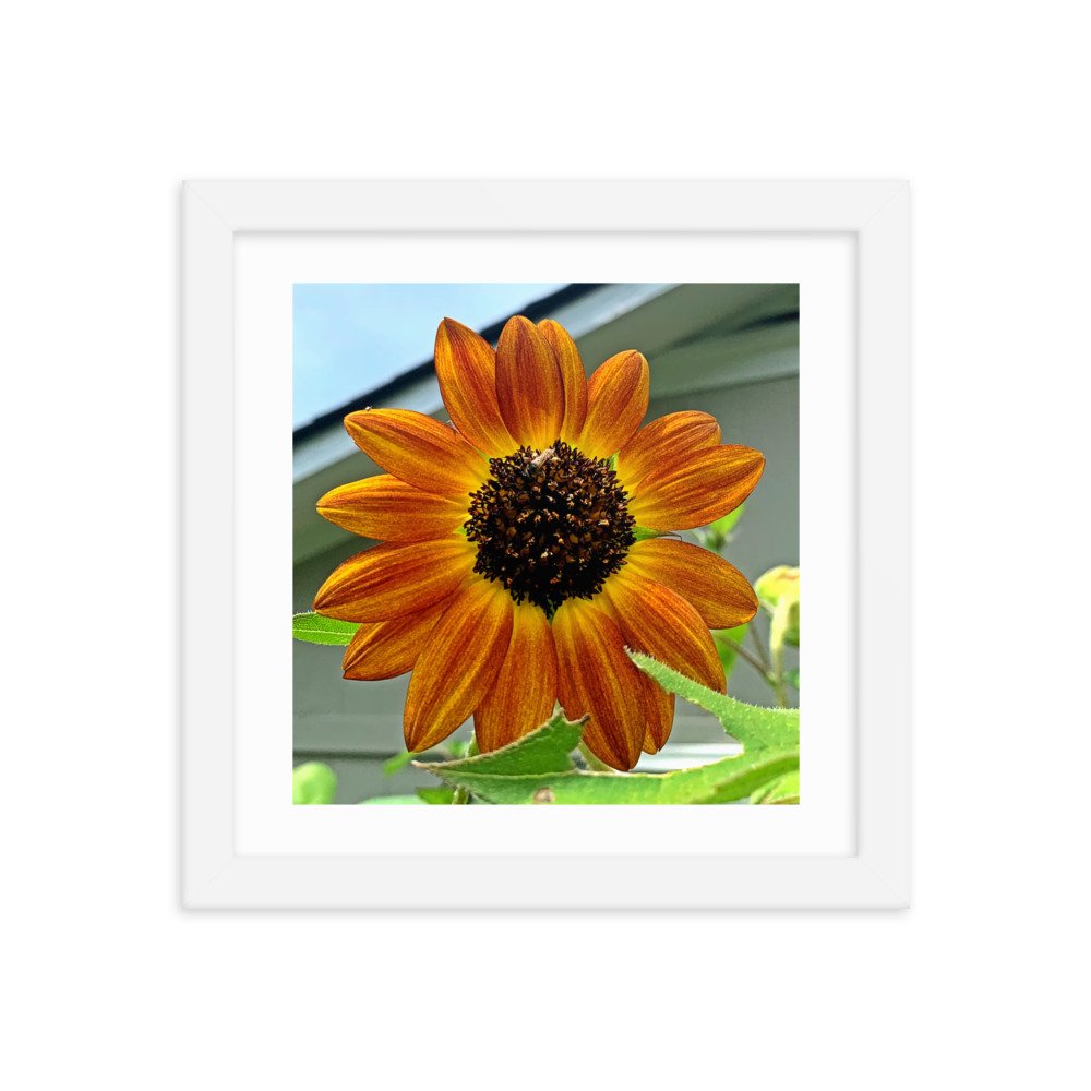 enhanced-matte-paper-framed-poster-(in)-white-10x10-transparent-622cad6dcbe70.jpg