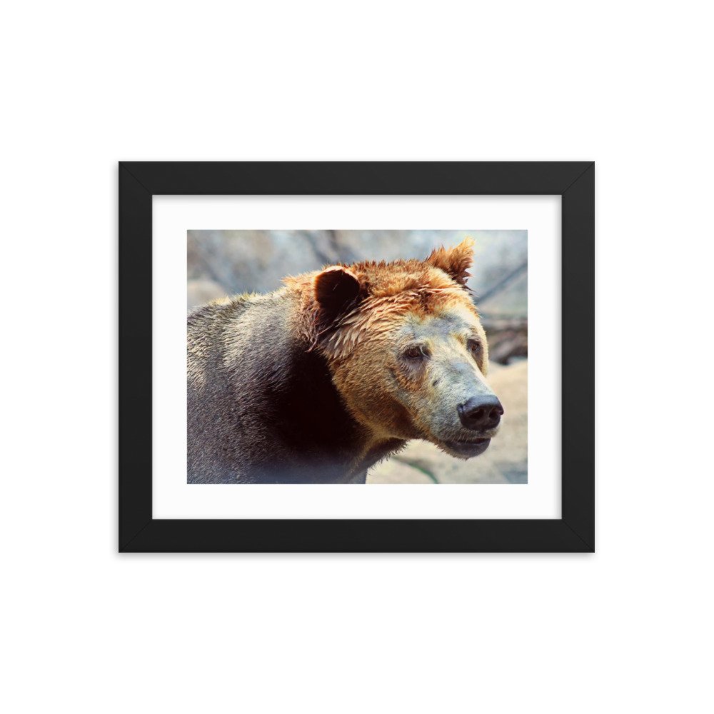 enhanced-matte-paper-framed-poster-(in)-black-8x10-transparent-622cad89da9af.jpg