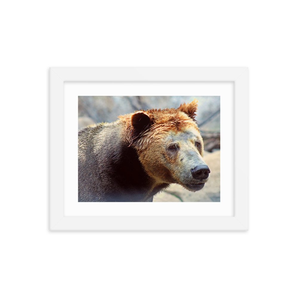 enhanced-matte-paper-framed-poster-(in)-white-8x10-transparent-622cad89dabab.jpg