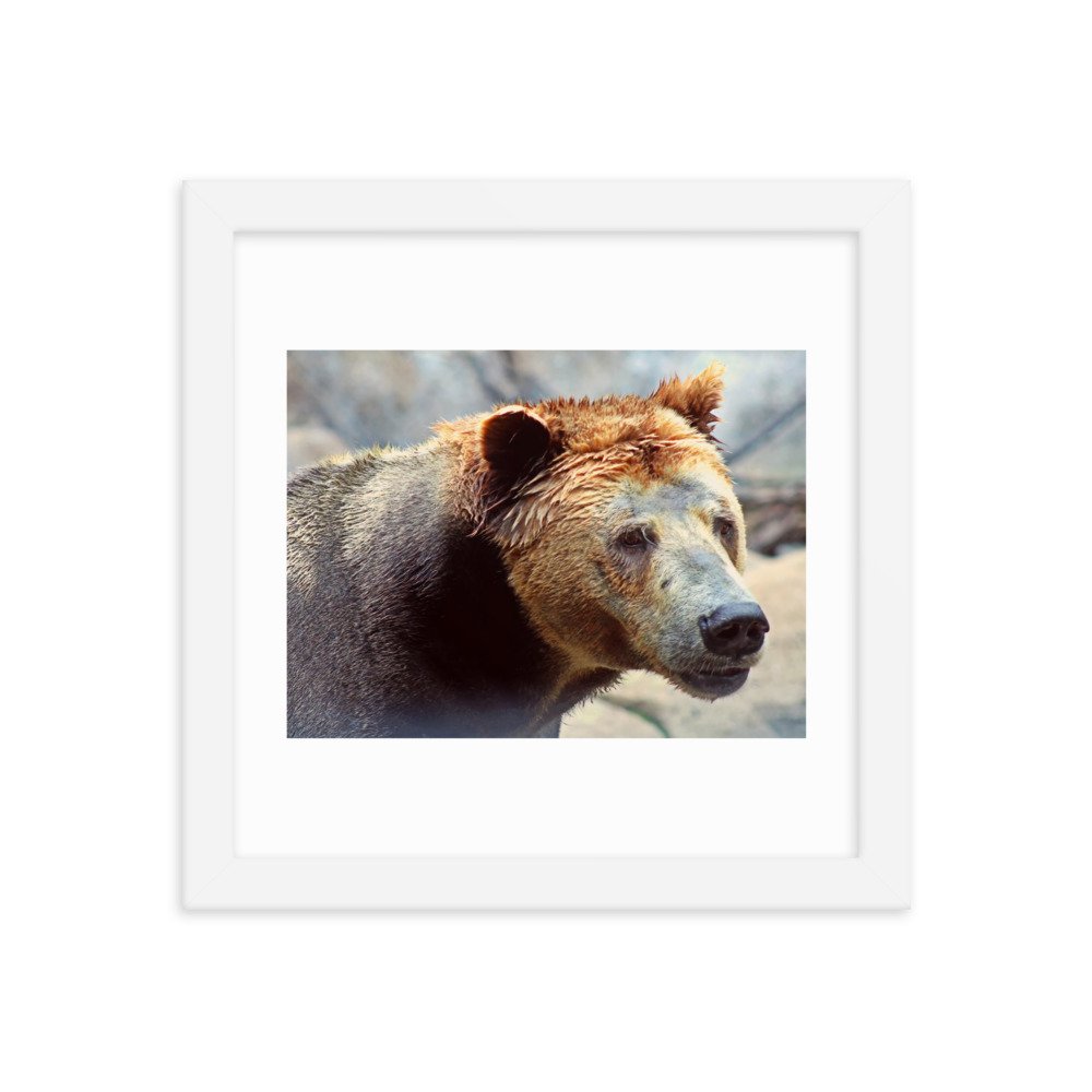 enhanced-matte-paper-framed-poster-(in)-white-10x10-transparent-622cad89daca8.jpg