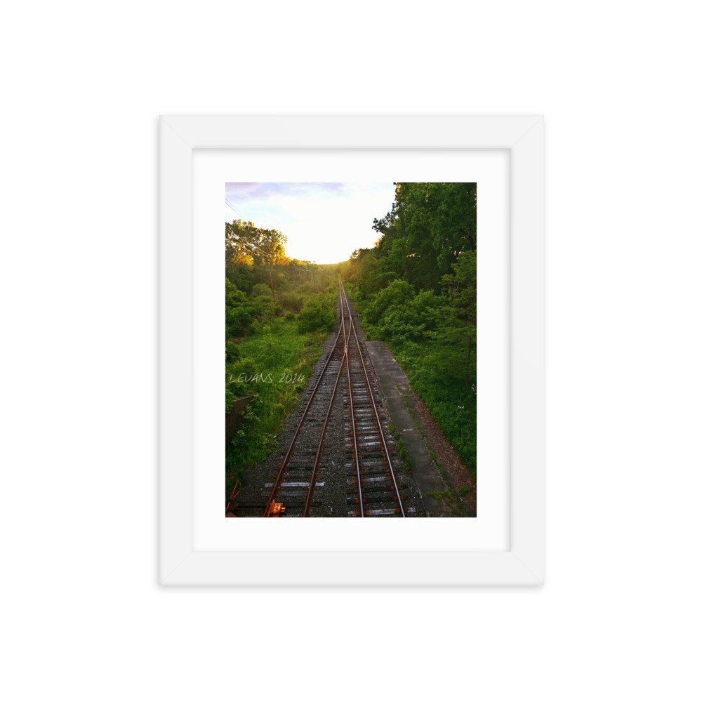 enhanced-matte-paper-framed-poster-(in)-white-8x10-transparent-622cb1fb0ff65.jpg