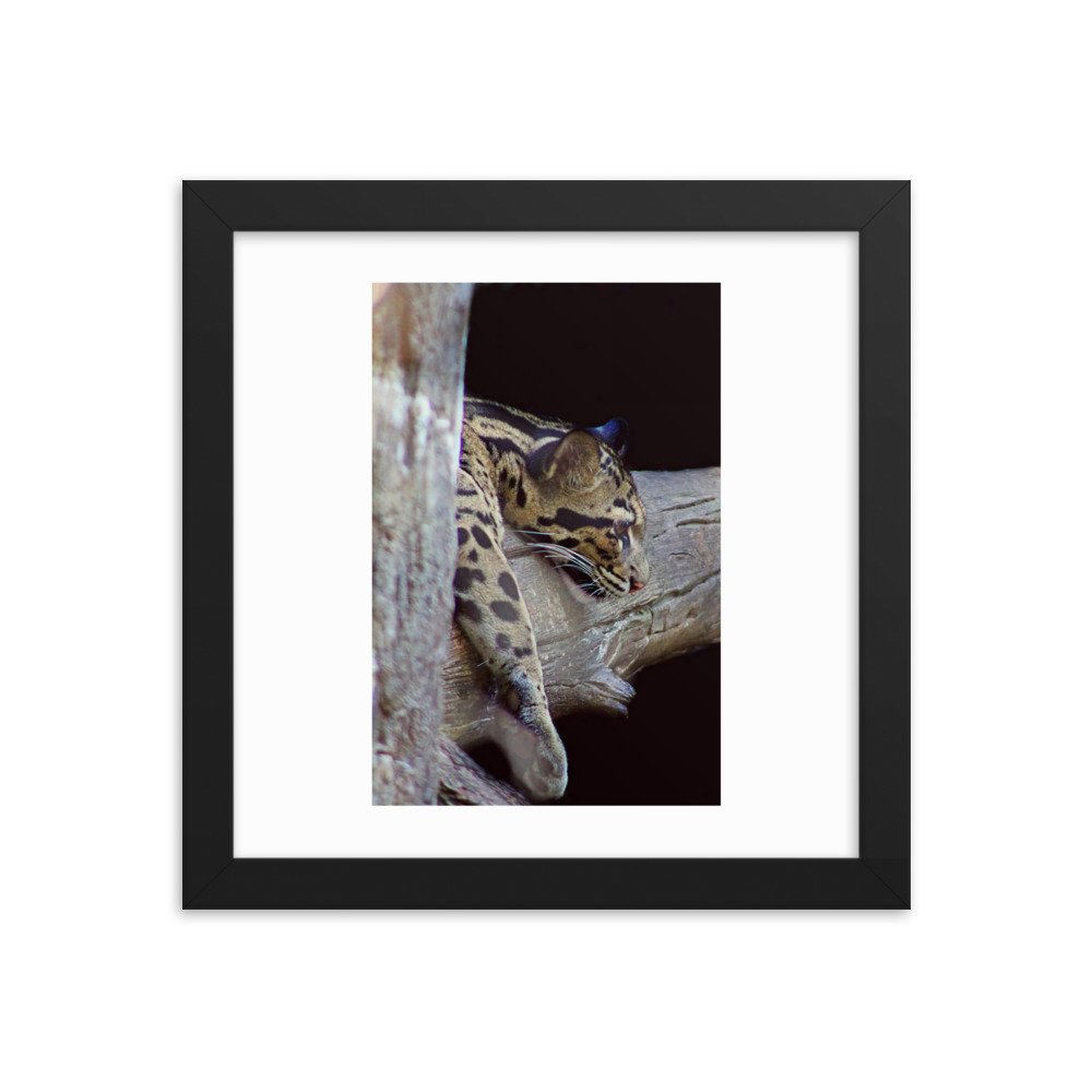 enhanced-matte-paper-framed-poster-(in)-black-10x10-transparent-622cb36c4199f.jpg