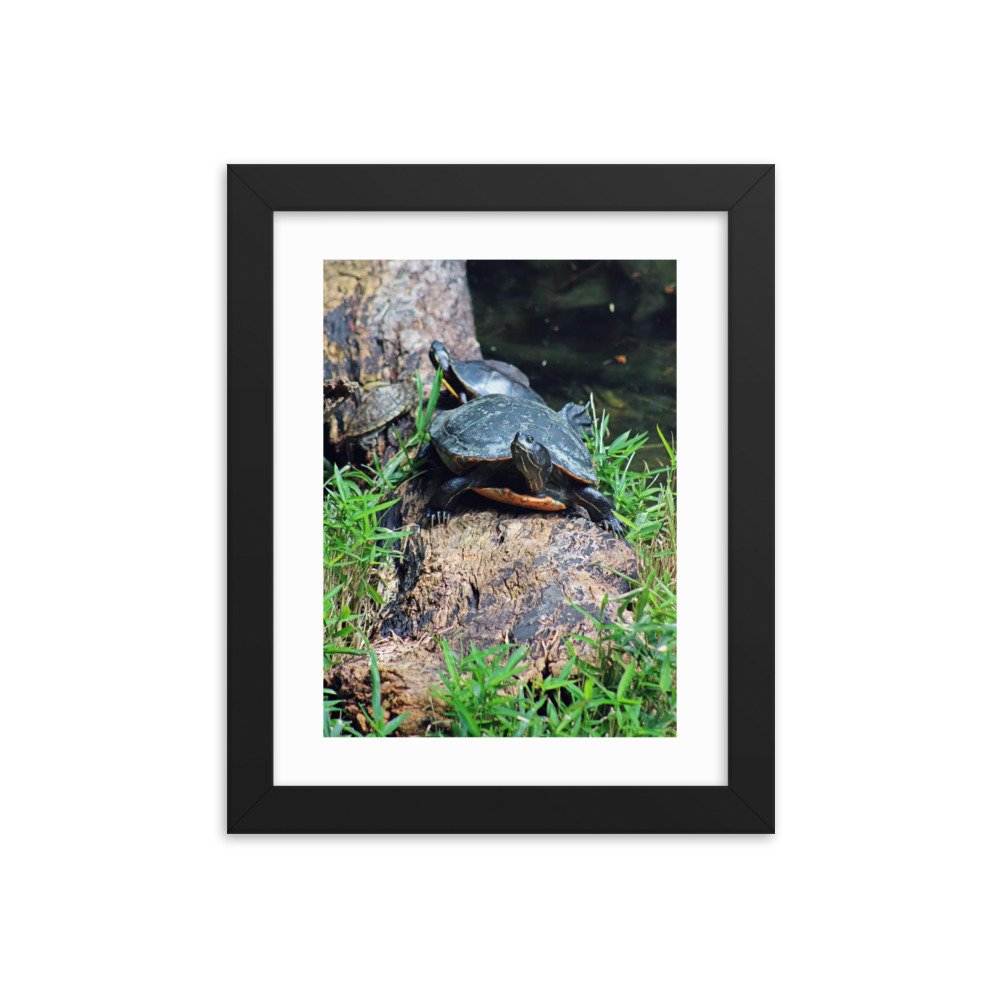 enhanced-matte-paper-framed-poster-(in)-black-8x10-transparent-622cb3a02271f.jpg