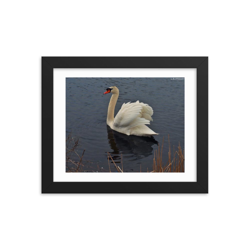 enhanced-matte-paper-framed-poster-(in)-black-8x10-transparent-622cb46ec01b6.jpg