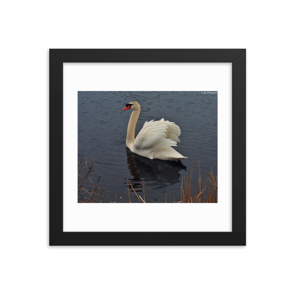 enhanced-matte-paper-framed-poster-(in)-black-10x10-transparent-622cb46ec029c.jpg