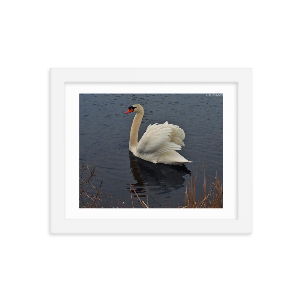 enhanced-matte-paper-framed-poster-(in)-white-8x10-transparent-622cb46ec0337.jpg