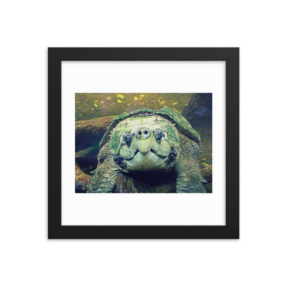 enhanced-matte-paper-framed-poster-(in)-black-10x10-transparent-622cb86d31fa2.jpg