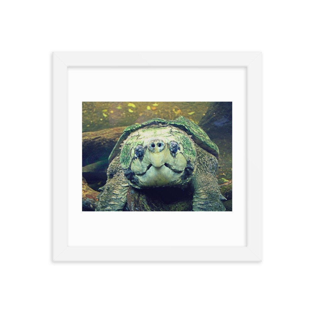enhanced-matte-paper-framed-poster-(in)-white-10x10-transparent-622cb86d320c4.jpg