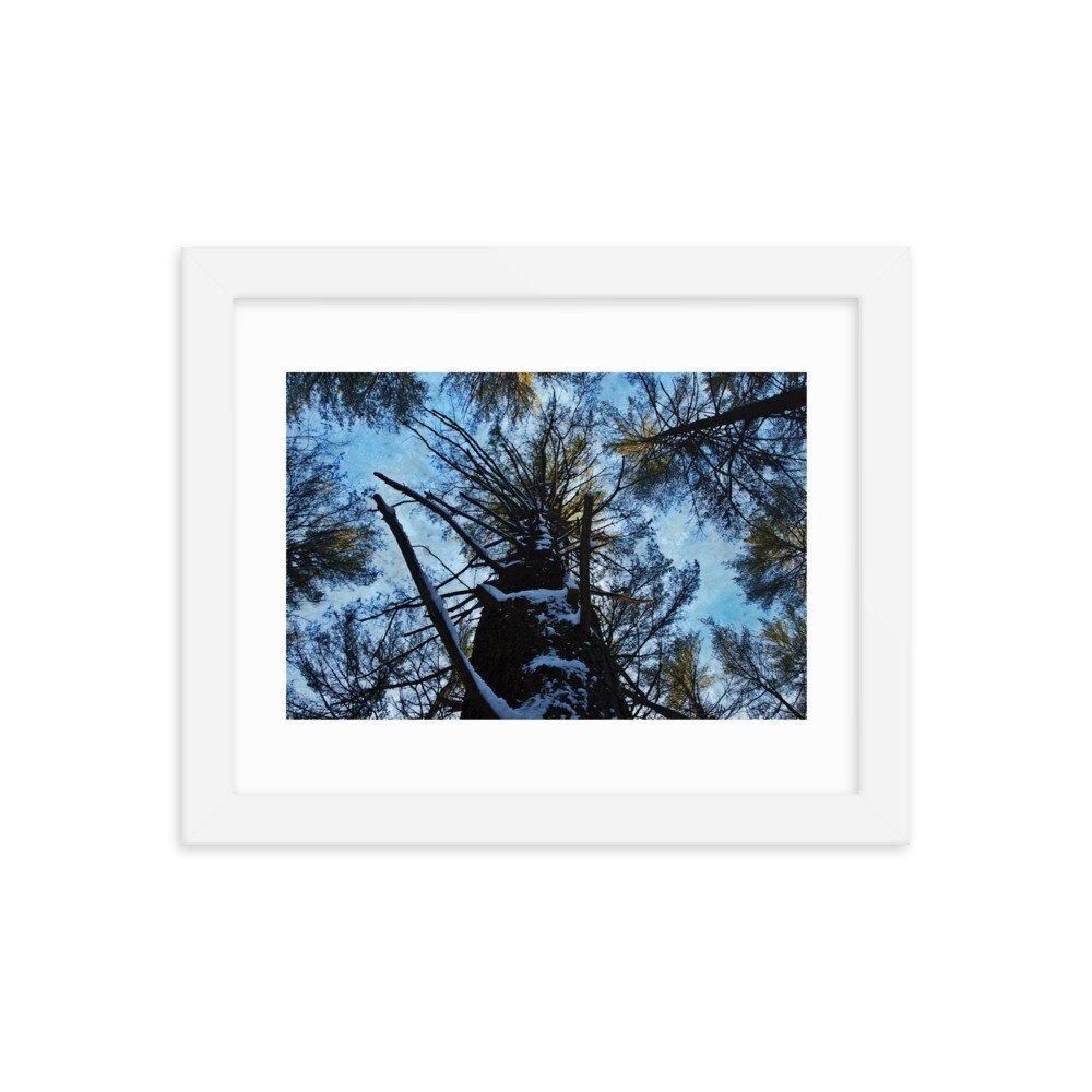 enhanced-matte-paper-framed-poster-(in)-white-8x10-transparent-622cb8de4e857.jpg