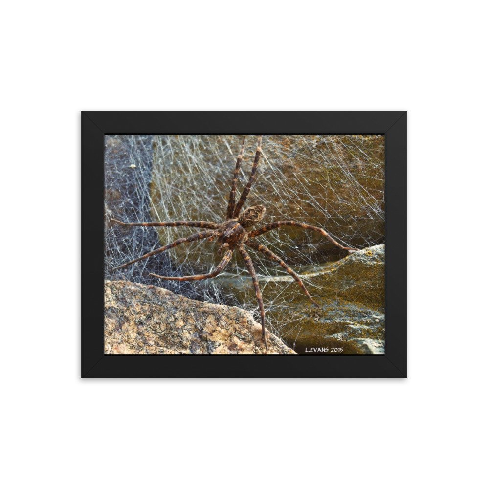 enhanced-matte-paper-framed-poster-(in)-black-8x10-transparent-622de0df21992.jpg