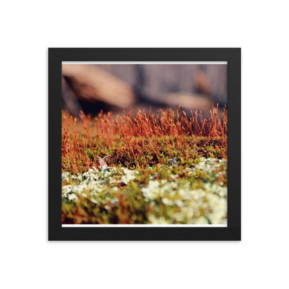 enhanced-matte-paper-framed-poster-(in)-black-10x10-transparent-622de86c05891.jpg