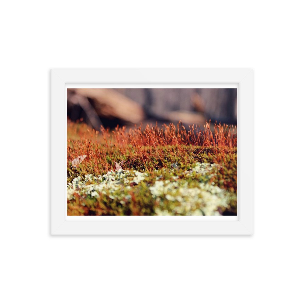 enhanced-matte-paper-framed-poster-(in)-white-8x10-transparent-622de86c05adb.jpg