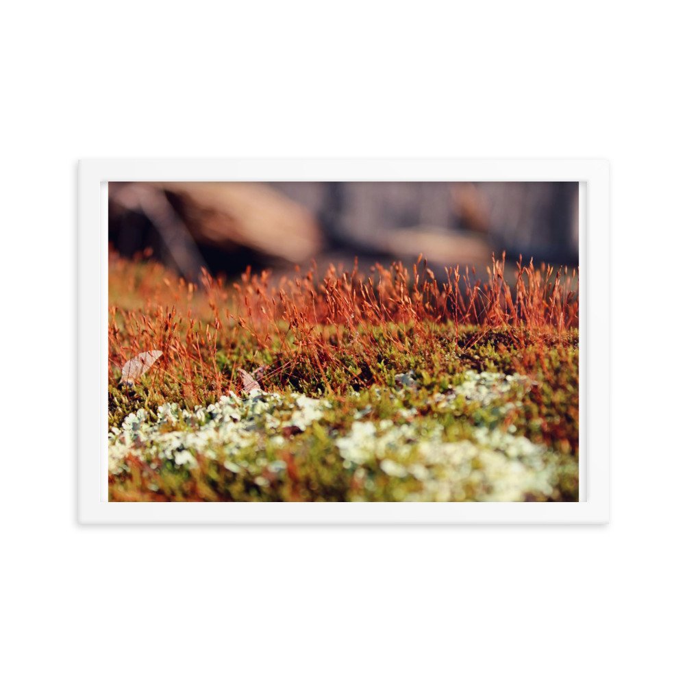 enhanced-matte-paper-framed-poster-(in)-white-12x18-transparent-622de86c05d90.jpg
