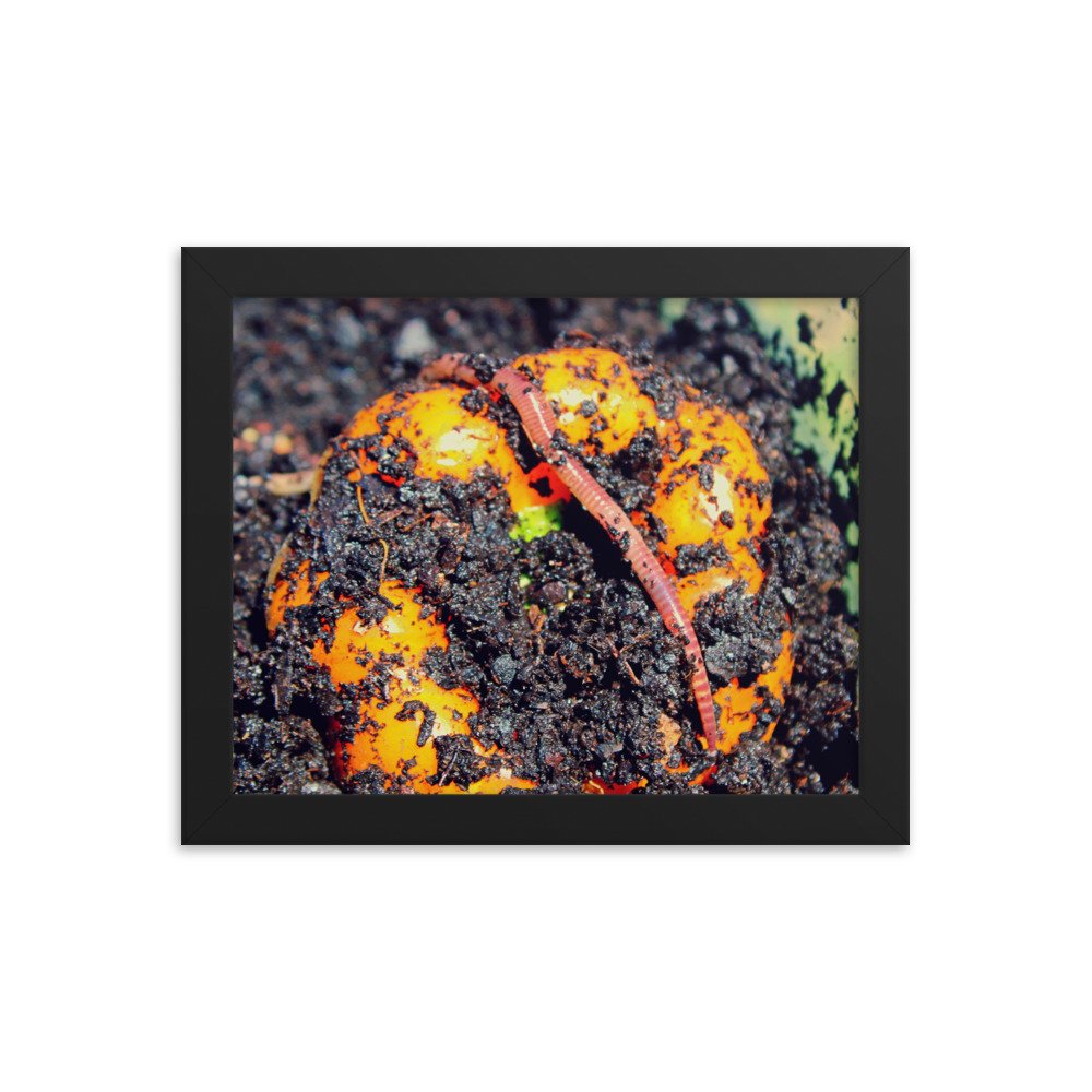 enhanced-matte-paper-framed-poster-(in)-black-8x10-transparent-622decc4f30f6.jpg