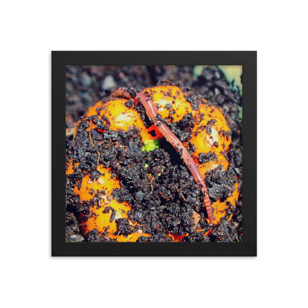 enhanced-matte-paper-framed-poster-(in)-black-10x10-transparent-622decc4f3186.jpg
