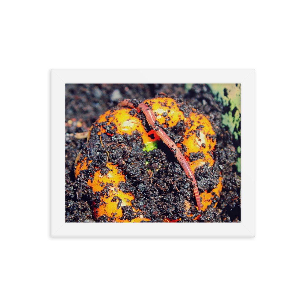 enhanced-matte-paper-framed-poster-(in)-white-8x10-transparent-622decc4f367d.jpg