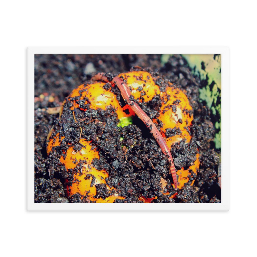 enhanced-matte-paper-framed-poster-(in)-white-16x20-transparent-622decc4f3a7c.jpg