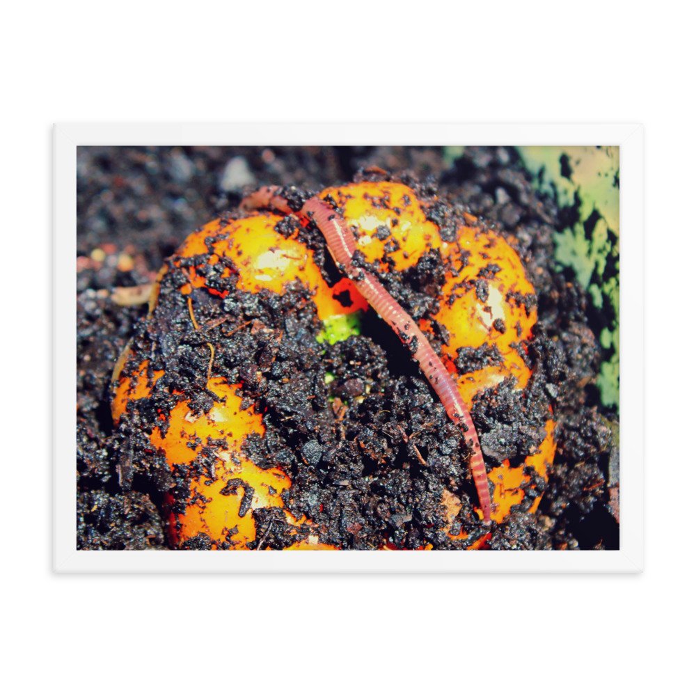 enhanced-matte-paper-framed-poster-(in)-white-18x24-transparent-622decc4f3b8d.jpg
