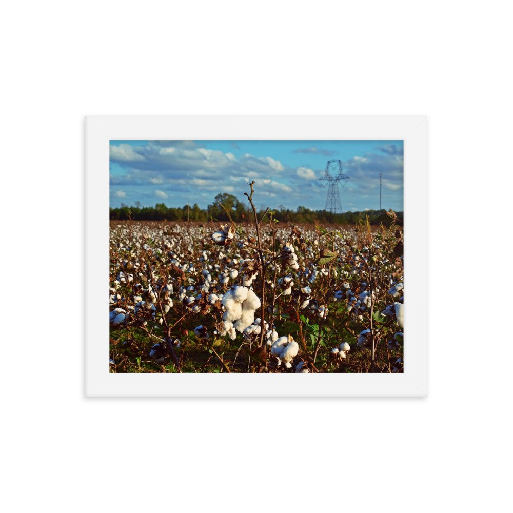 enhanced-matte-paper-framed-poster-(in)-white-8x10-transparent-622df1a8b2d1f.jpg