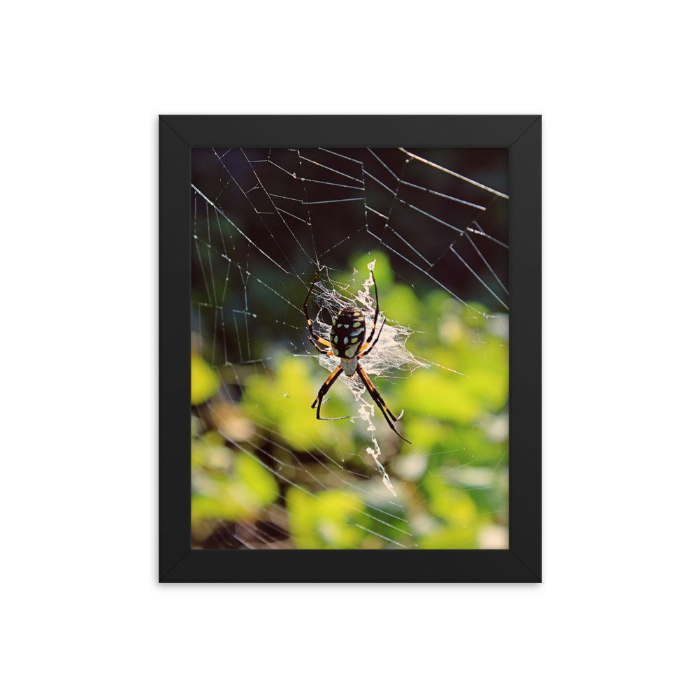 enhanced-matte-paper-framed-poster-(in)-black-8x10-transparent-622df2547fdd0.jpg