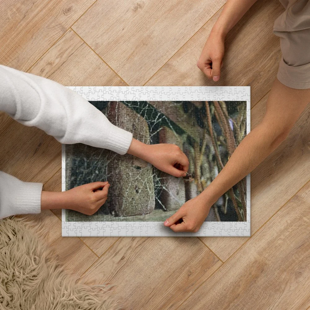 jigsaw-puzzle-520-pieces-front-6238672846cd2.jpg