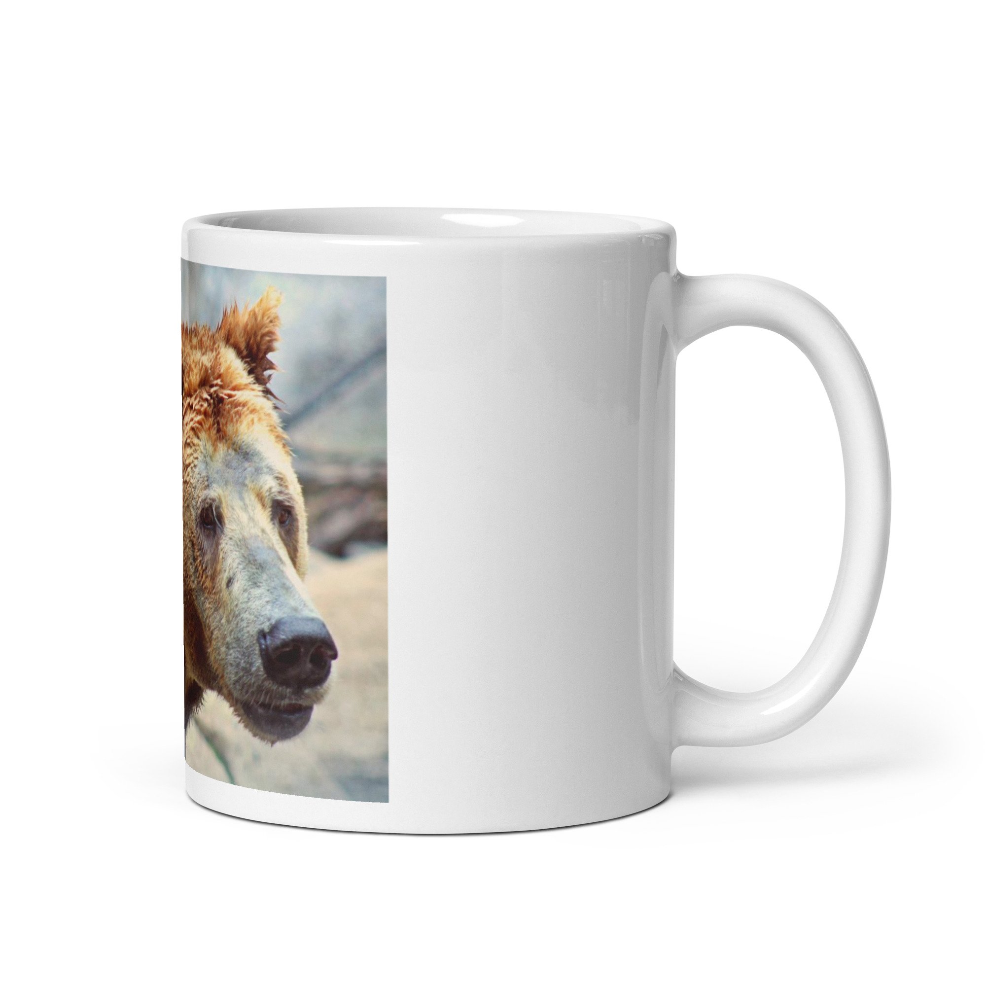 white-glossy-mug-white-11oz-handle-on-right-648f515d88325.jpg