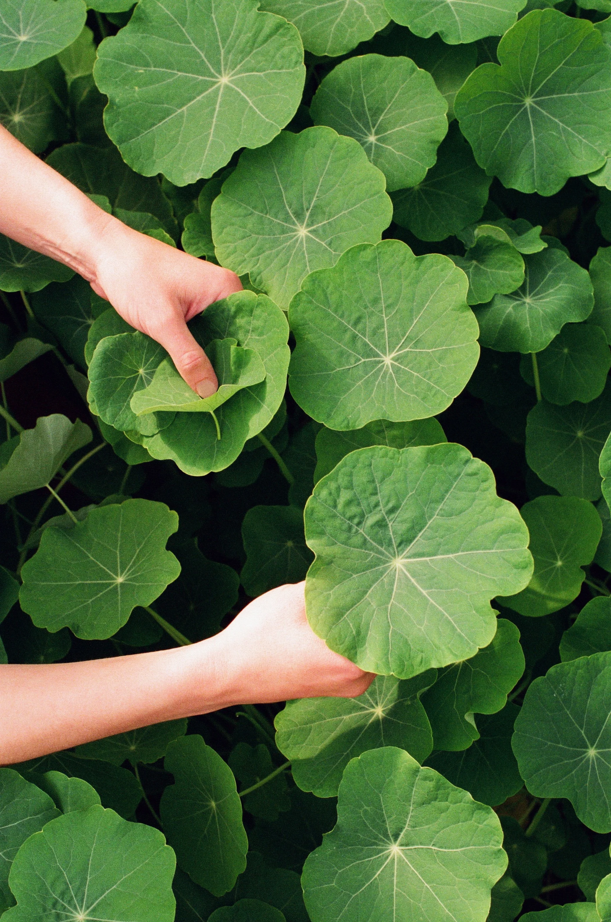 © Elodie Villalon.JPG